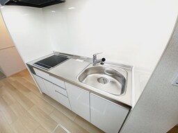 同型反転タイプです。