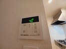 同型参考写真 アウル