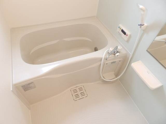 同型参考写真 グレイス（ｇｒａｃｅ）