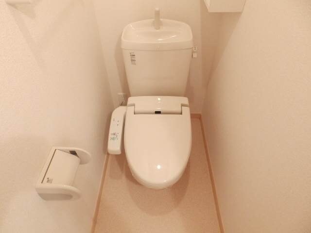 同型参考写真 グレイス（ｇｒａｃｅ）