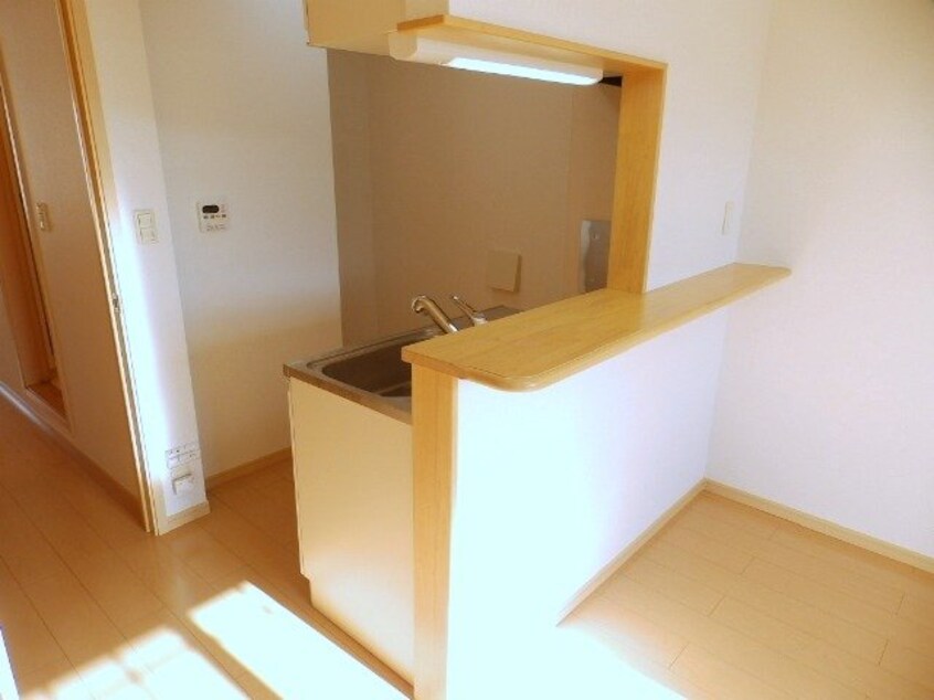 同型参考写真 プラティーク　Ⅱ