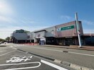 ロピア桑名サンシティ店(スーパー)まで4184m ムーンリバーサイドD棟