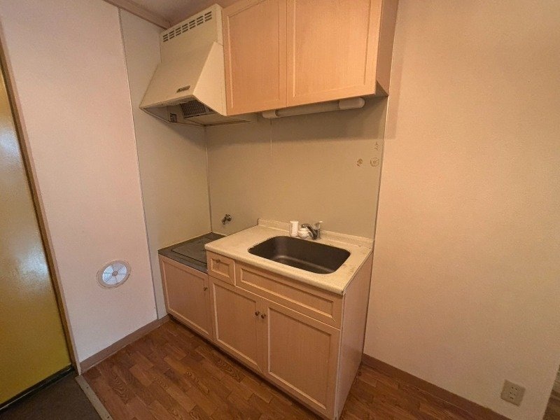  ビューカトレア