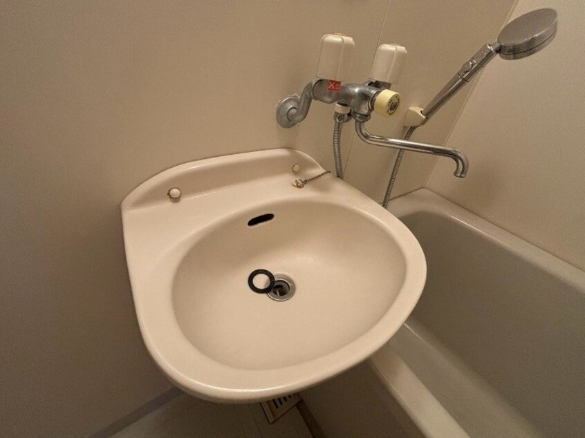  ビューカトレア