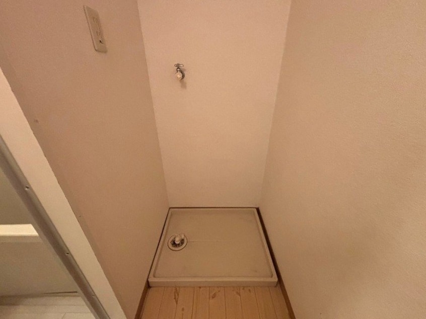  ビューカトレア