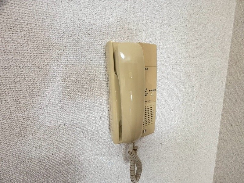  ポンド・サイド蓮パートⅠ