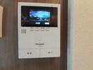  ベイフィールド