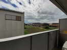  ベイフィールド