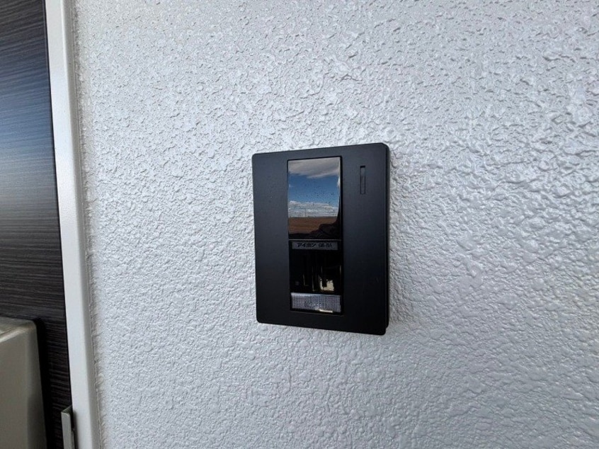 同型参考写真 MONSTERA（モンステラ）