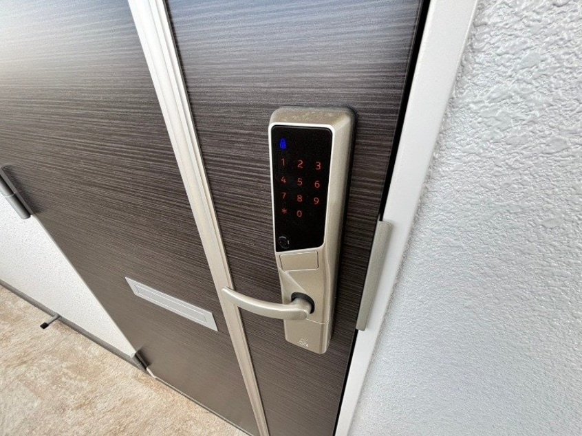 同型参考写真 MONSTERA（モンステラ）