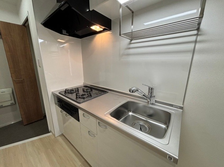 同型参考写真 MONSTERA（モンステラ）