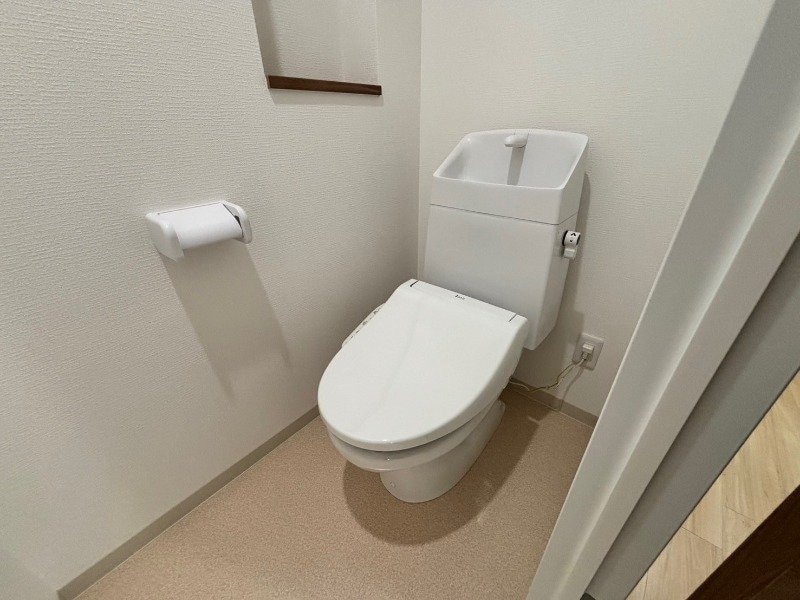 同型参考写真 MONSTERA（モンステラ）