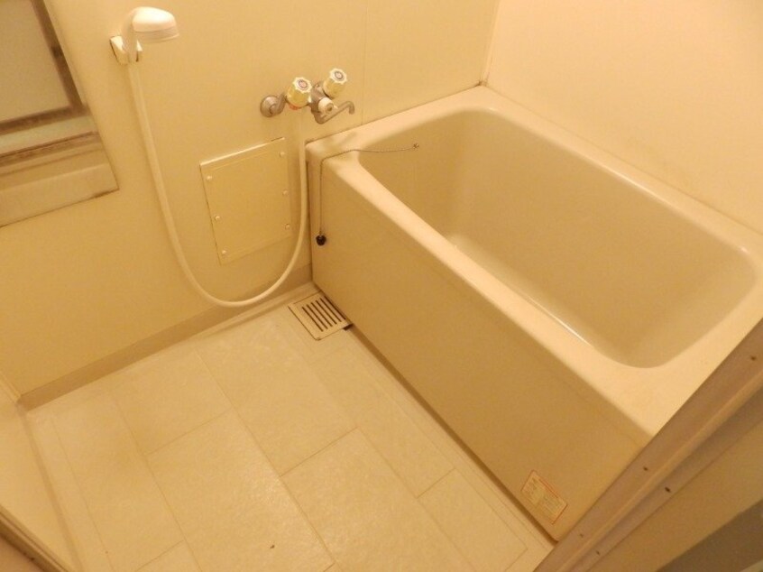 同型反転参考写真 アポロパーク