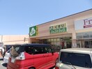 ジップドラッグ西富田店(ドラッグストア)まで1127m クレールリバー