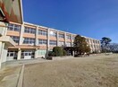 桑名市立大成小学校(小学校)まで1055m 桑名市戸建て