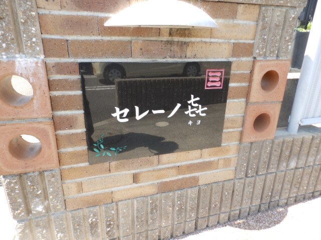  セレーノキヨ