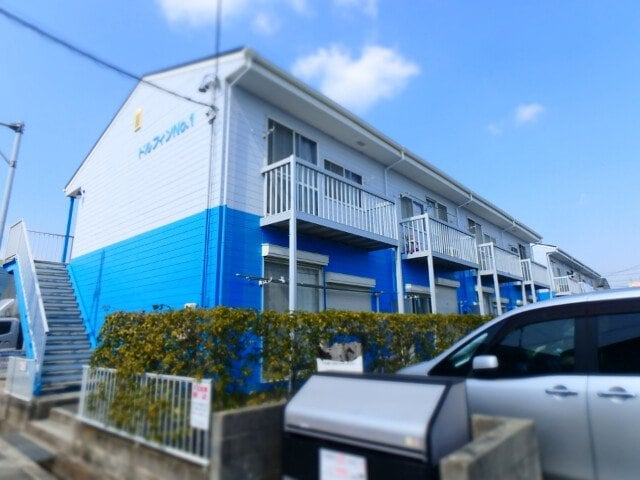  ドルフィン№１