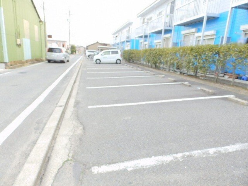  ドルフィン№１