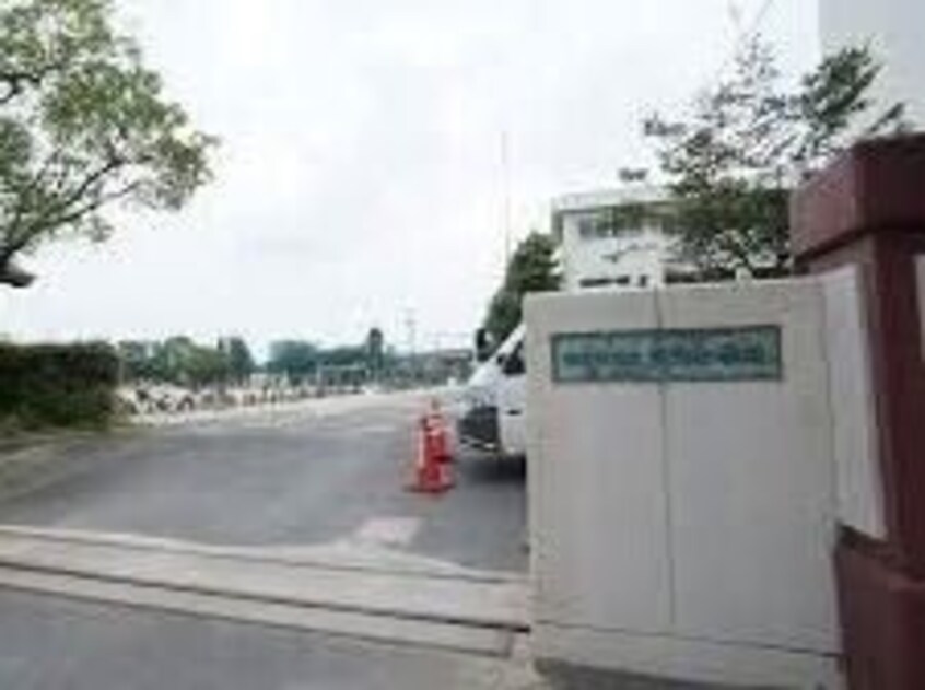 四日市市立羽津小学校(小学校)まで966m ボナール