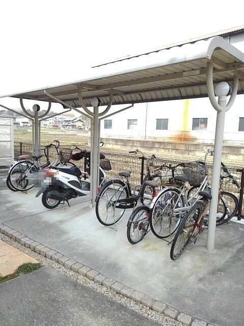  Ｐｅｔｉｔ　Ａｎｇｅ　Ⅱ