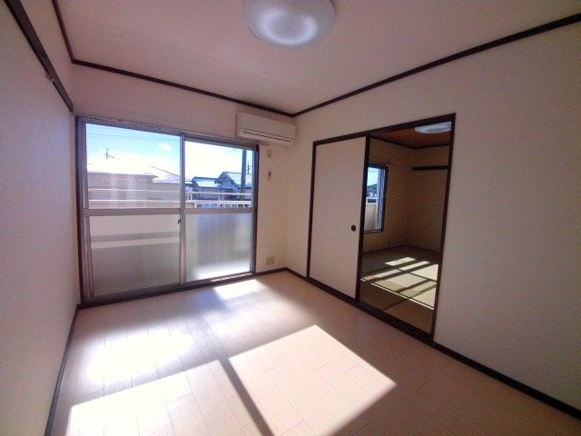  タウニーパインツリー