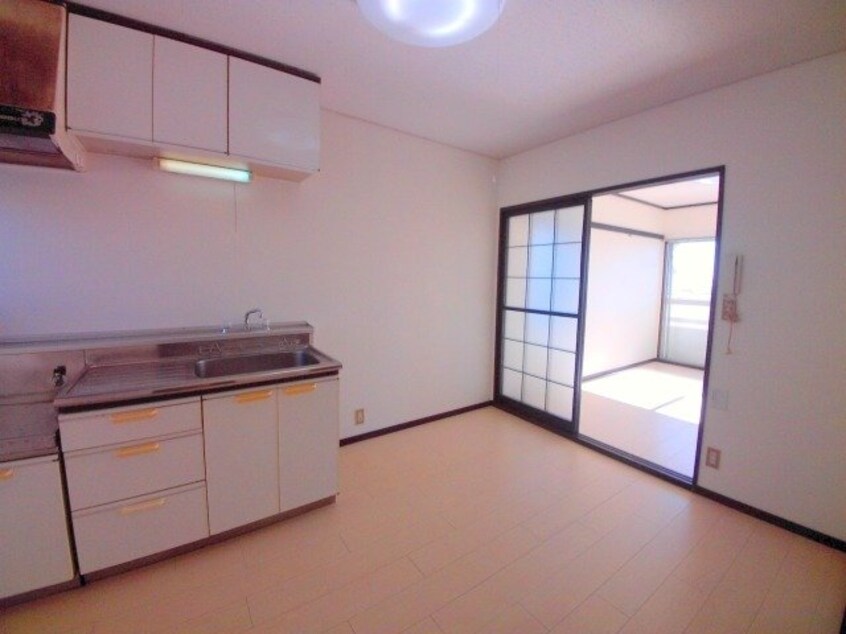  タウニーパインツリー