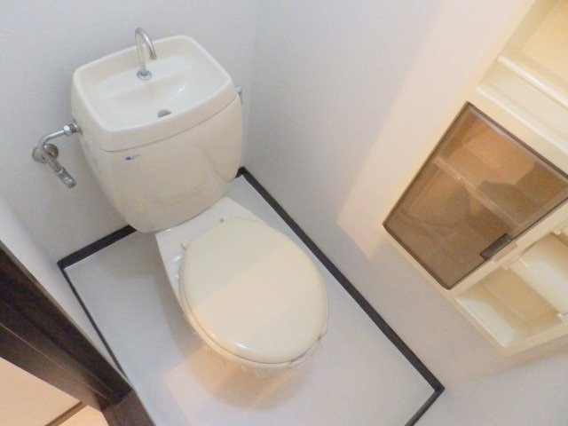  タウニーパインツリー