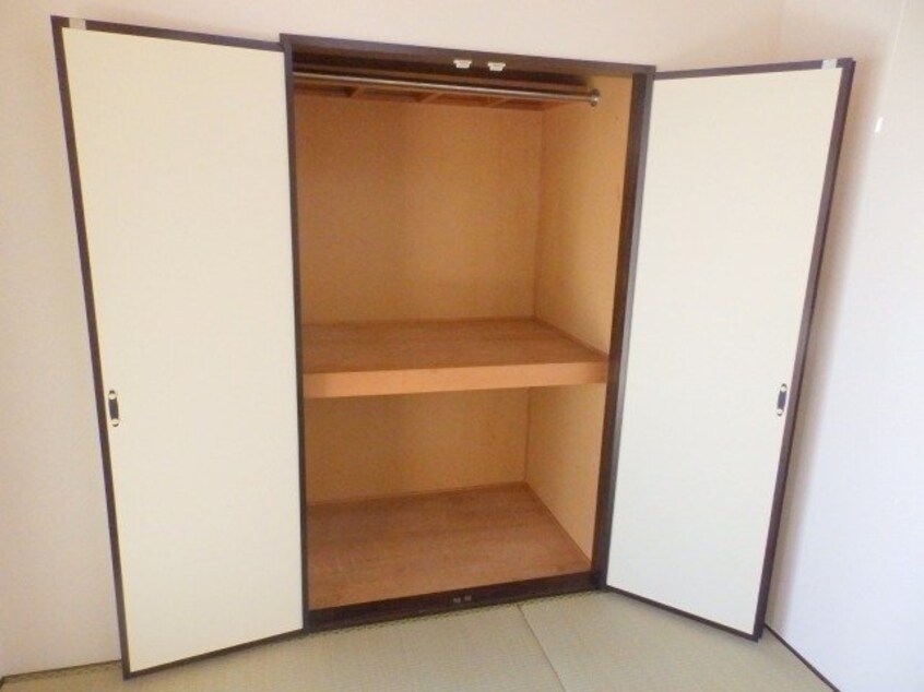  タウニーパインツリー