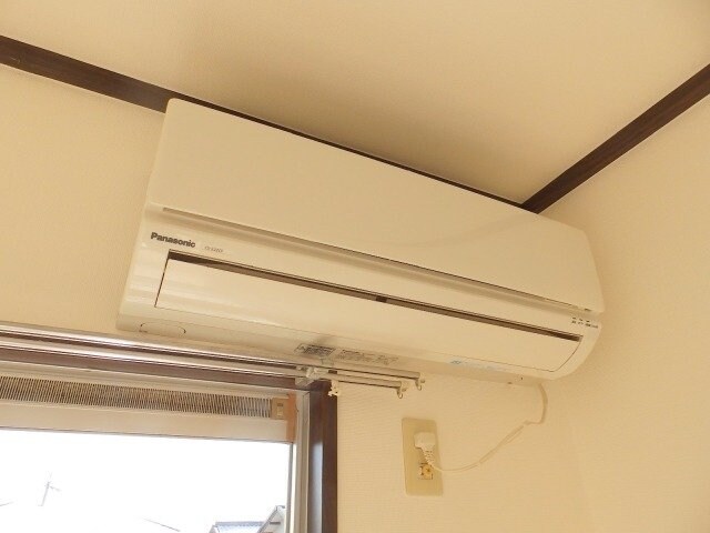  タウニーパインツリー