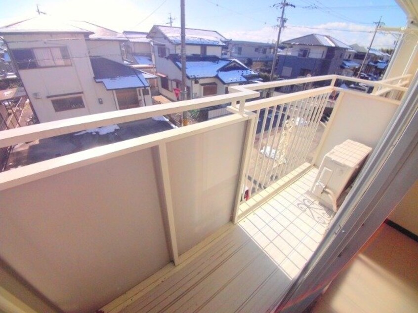  タウニーパインツリー