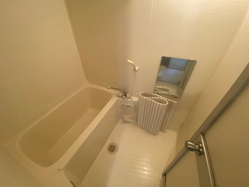 同型参考写真 リンピアアサケ