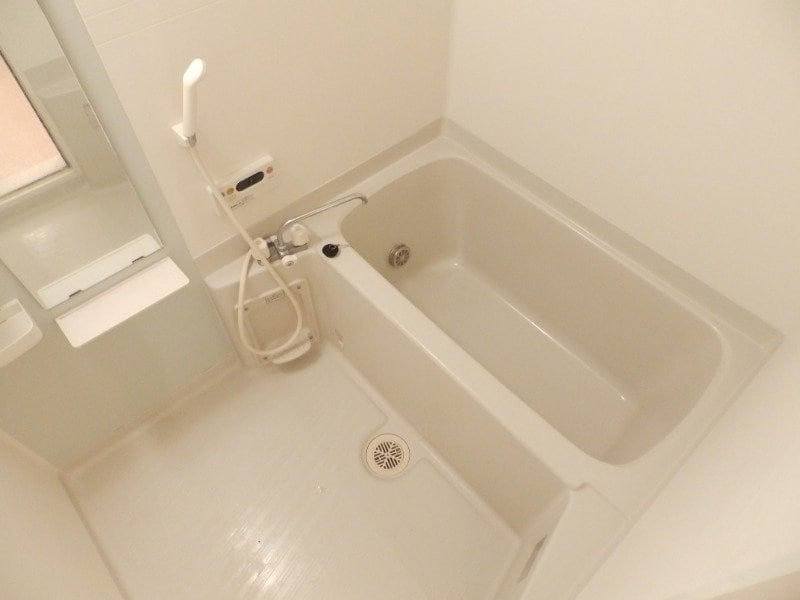 同型参考写真 ヴェリテ・ボー　Ⅱ