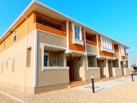 エバーグリーン