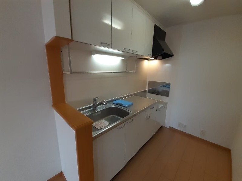 同型反転参考写真です。 ブリッサ　Ⅰ