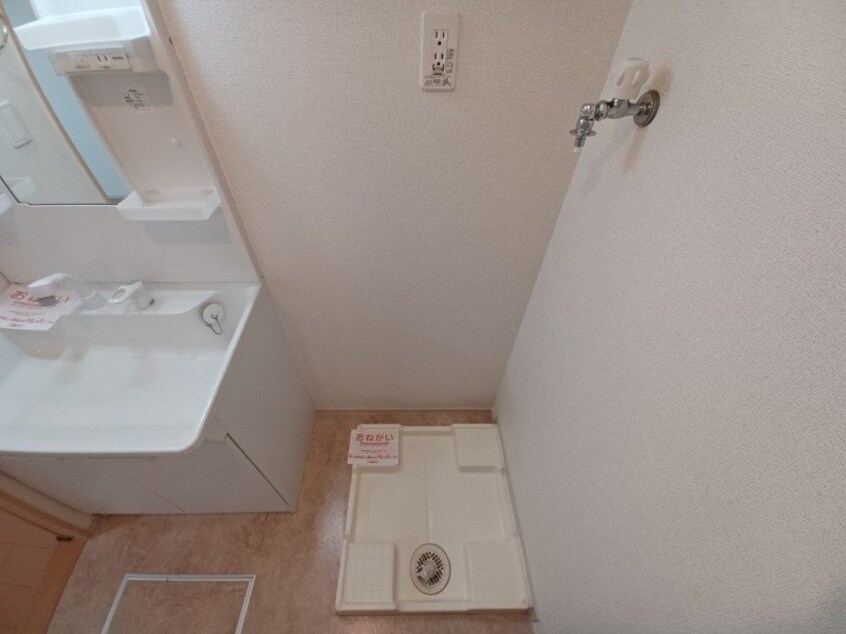 同型参考写真 フランジェルメ