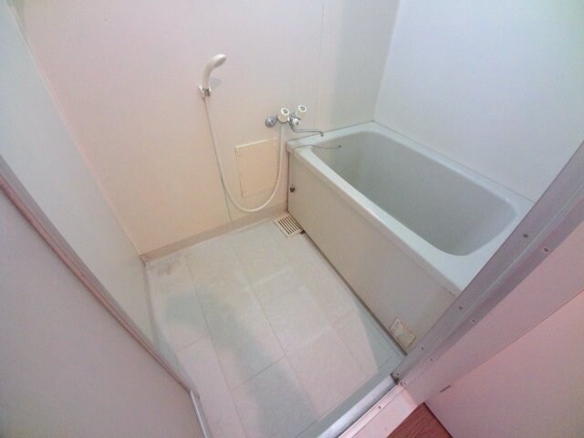 同型参考写真 アルカディア