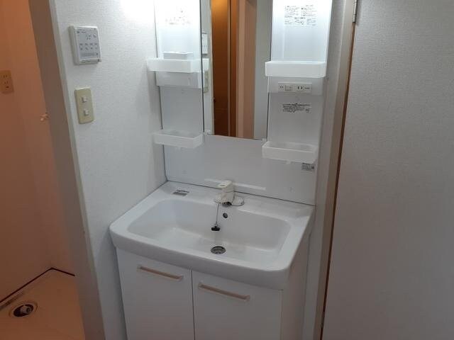 同型参考写真 アルカディア