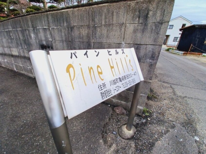  パインヒルズ