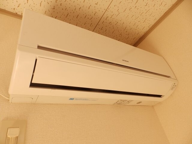  ピアチェーレ　D