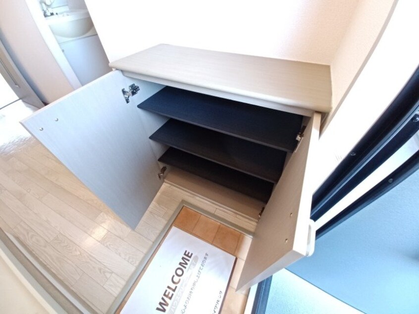 同型参考写真 ピアチェーレ　D