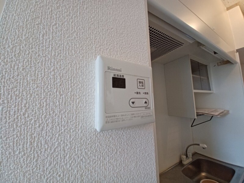 同型参考写真 ピアチェーレ　D