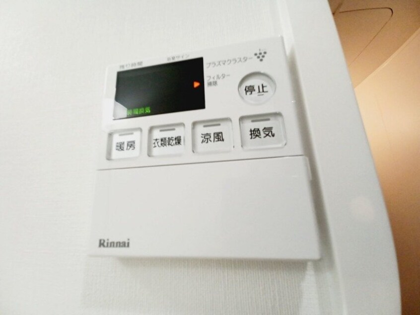 同型参考写真 セレッソ川越