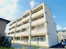ストリートアートの外観