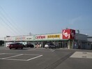 スギ薬局富田店(ドラッグストア)まで751m AUGUSTA（オーガスタ）