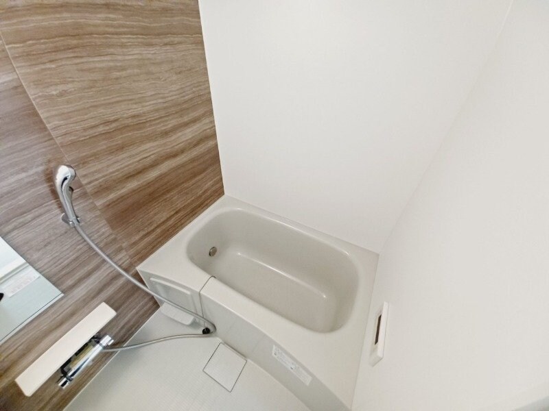 同型参考写真 フォーリスト別名Ⅰ