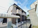  パルティール朝日