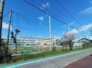 桑名市立城東小学校(小学校)まで448m パレス３．１Ａ