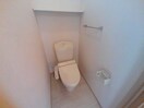 トイレ別部屋写真です アメージング・フラッツ（Ｄ･Ｅ）　D