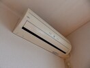 同型参考写真 フォレスト　ハナミズキＡ