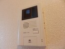 同型参考写真 フォレスト　ハナミズキＡ
